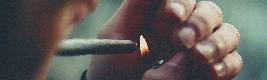 A Fascinating Foray into the World of Dentistry