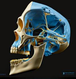 Aquatic Therapies for Temporomandibular Joint Disorders: A Plunge into the Depths of Jaw Relief
